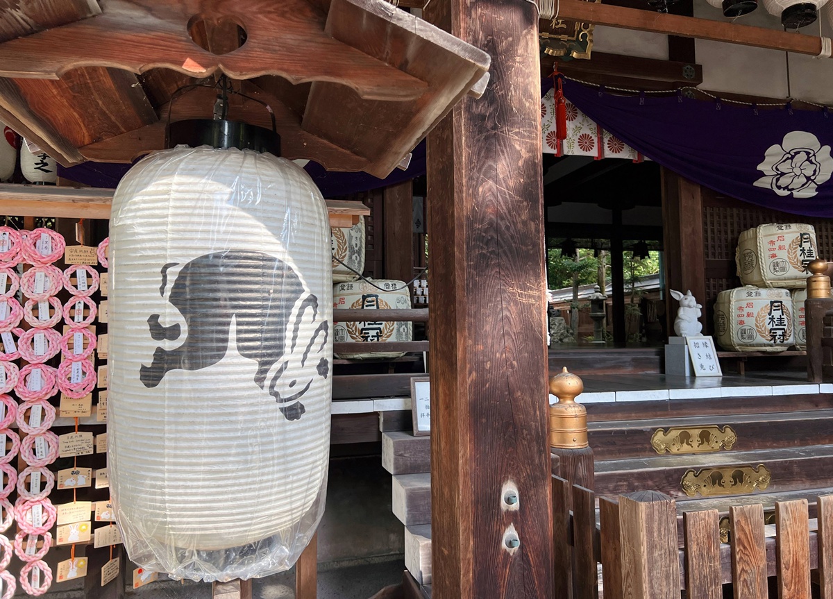 京都東山最可愛神社！被石兔使者包圍的祈福聖地，戀愛、懷孕、家庭幸福一次祈願｜京都東天王岡崎神社 @。CJ夫人。