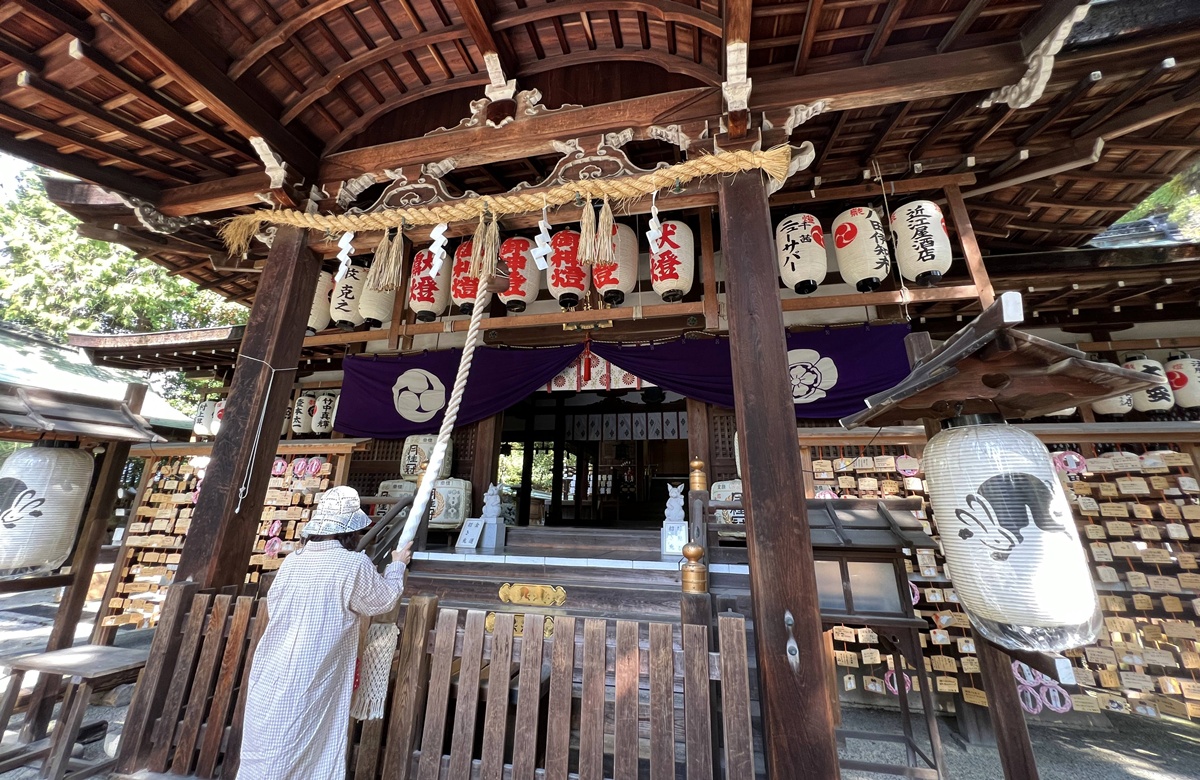 京都東山最可愛神社！被石兔使者包圍的祈福聖地，戀愛、懷孕、家庭幸福一次祈願｜京都東天王岡崎神社 @。CJ夫人。
