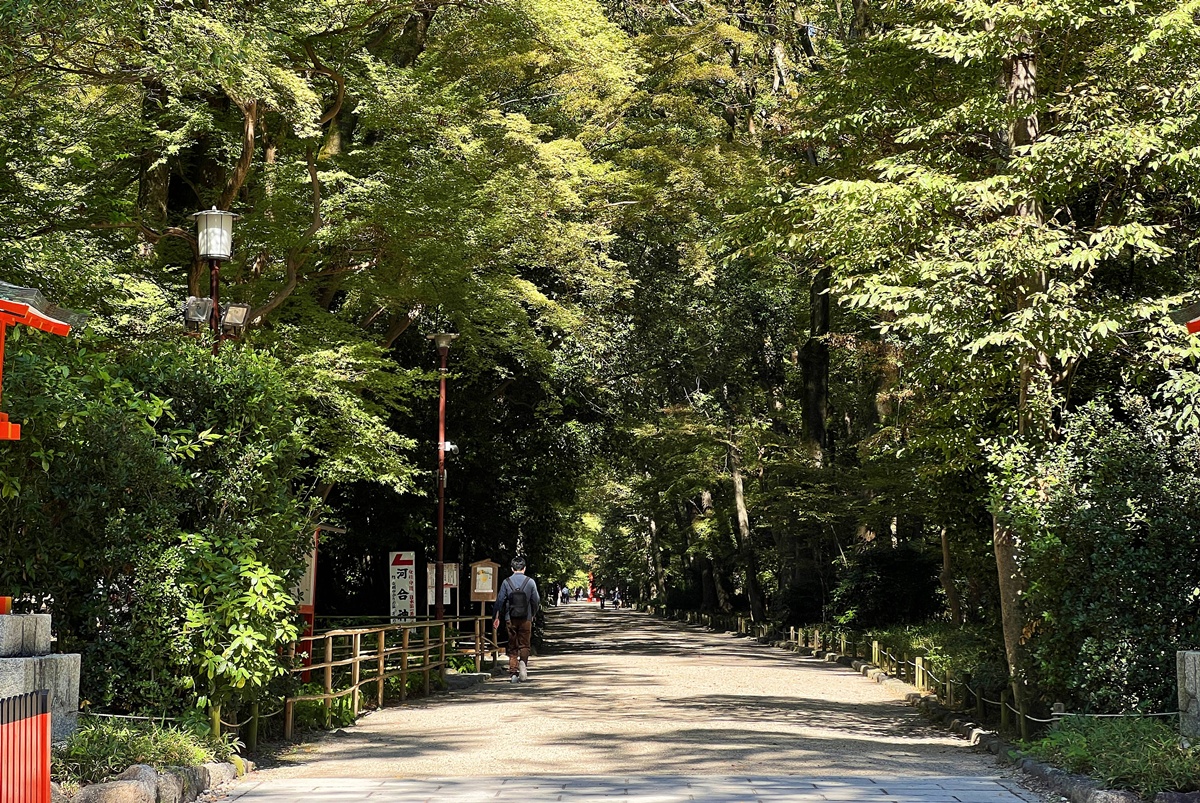 京都糺之森的綠，的確與其他森林不太一樣｜京都神社推薦 賀茂御祖神社（下鴨神社）參拜指南與糺之森療癒散策 @。CJ夫人。