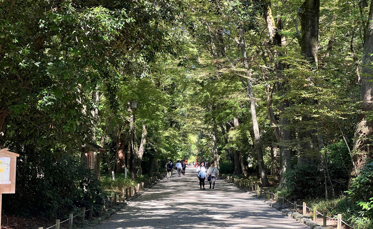 京都糺之森的綠，的確與其他森林不太一樣｜京都神社推薦 賀茂御祖神社（下鴨神社）參拜指南與糺之森療癒散策 @。CJ夫人。