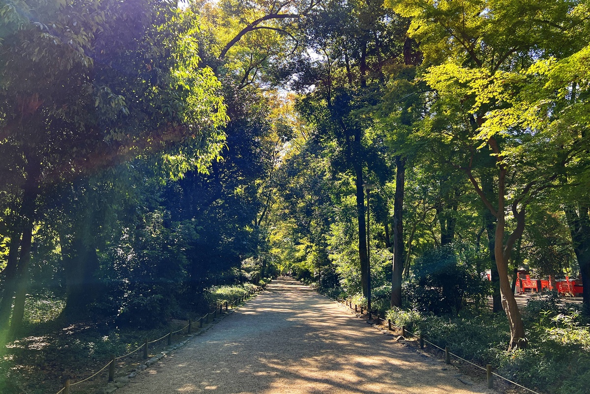 京都糺之森的綠，的確與其他森林不太一樣｜京都神社推薦 賀茂御祖神社（下鴨神社）參拜指南與糺之森療癒散策 @。CJ夫人。