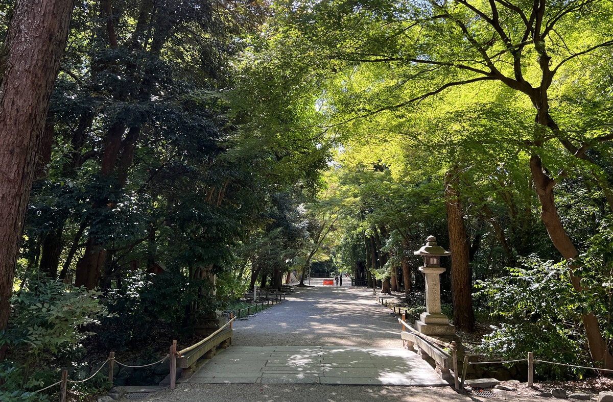 京都糺之森的綠，的確與其他森林不太一樣｜京都神社推薦 賀茂御祖神社（下鴨神社）參拜指南與糺之森療癒散策 @。CJ夫人。