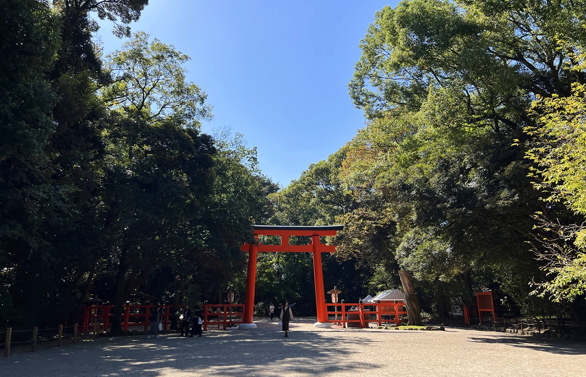 京都糺之森的綠，的確與其他森林不太一樣｜京都神社推薦 賀茂御祖神社（下鴨神社）參拜指南與糺之森療癒散策 @。CJ夫人。