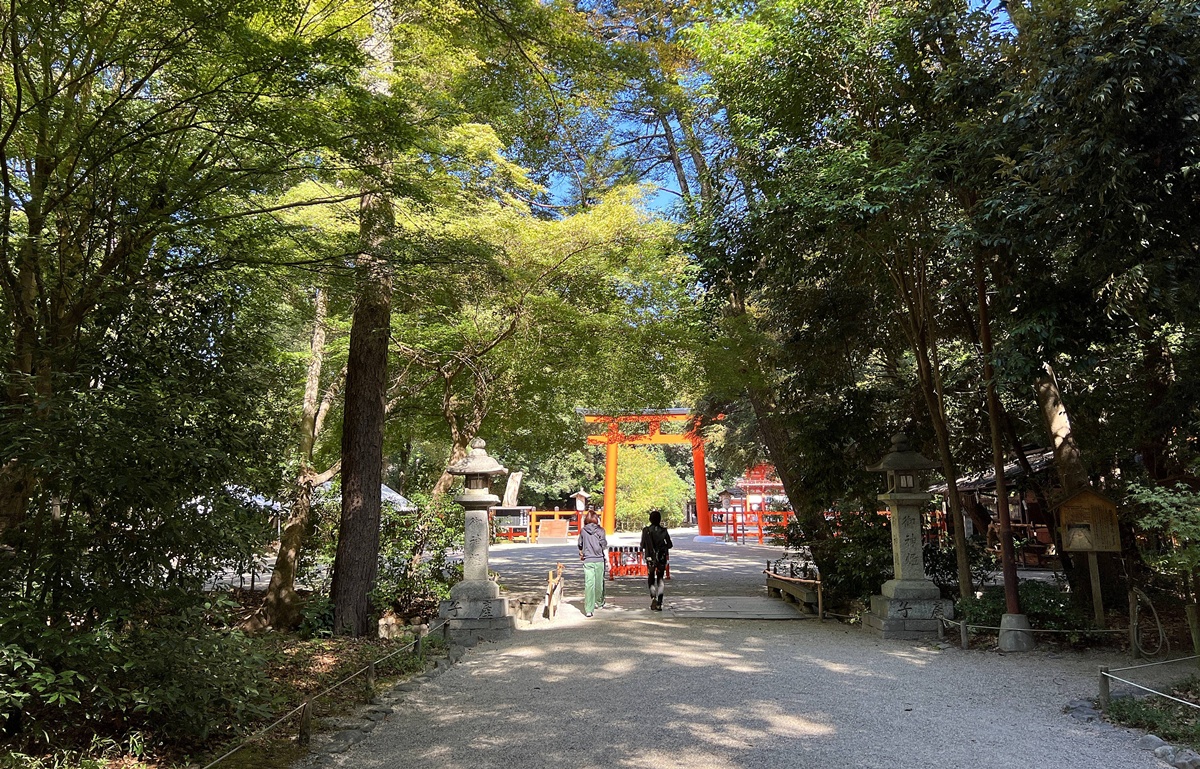 京都糺之森的綠，的確與其他森林不太一樣｜京都神社推薦 賀茂御祖神社（下鴨神社）參拜指南與糺之森療癒散策 @。CJ夫人。
