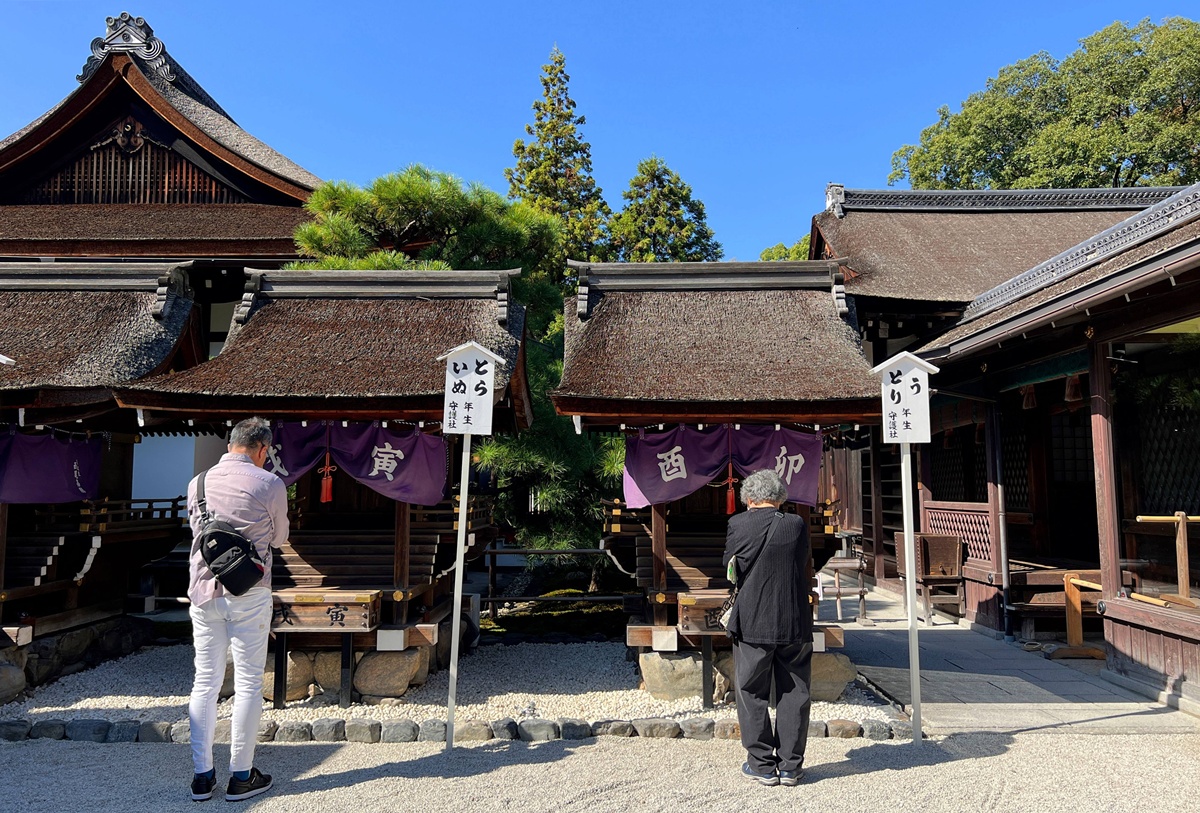 京都糺之森的綠，的確與其他森林不太一樣｜京都神社推薦 賀茂御祖神社（下鴨神社）參拜指南與糺之森療癒散策 @。CJ夫人。