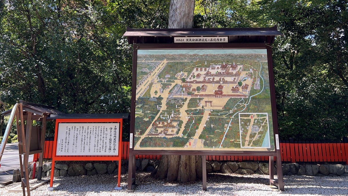 京都糺之森的綠，的確與其他森林不太一樣｜京都神社推薦 賀茂御祖神社（下鴨神社）參拜指南與糺之森療癒散策 @。CJ夫人。