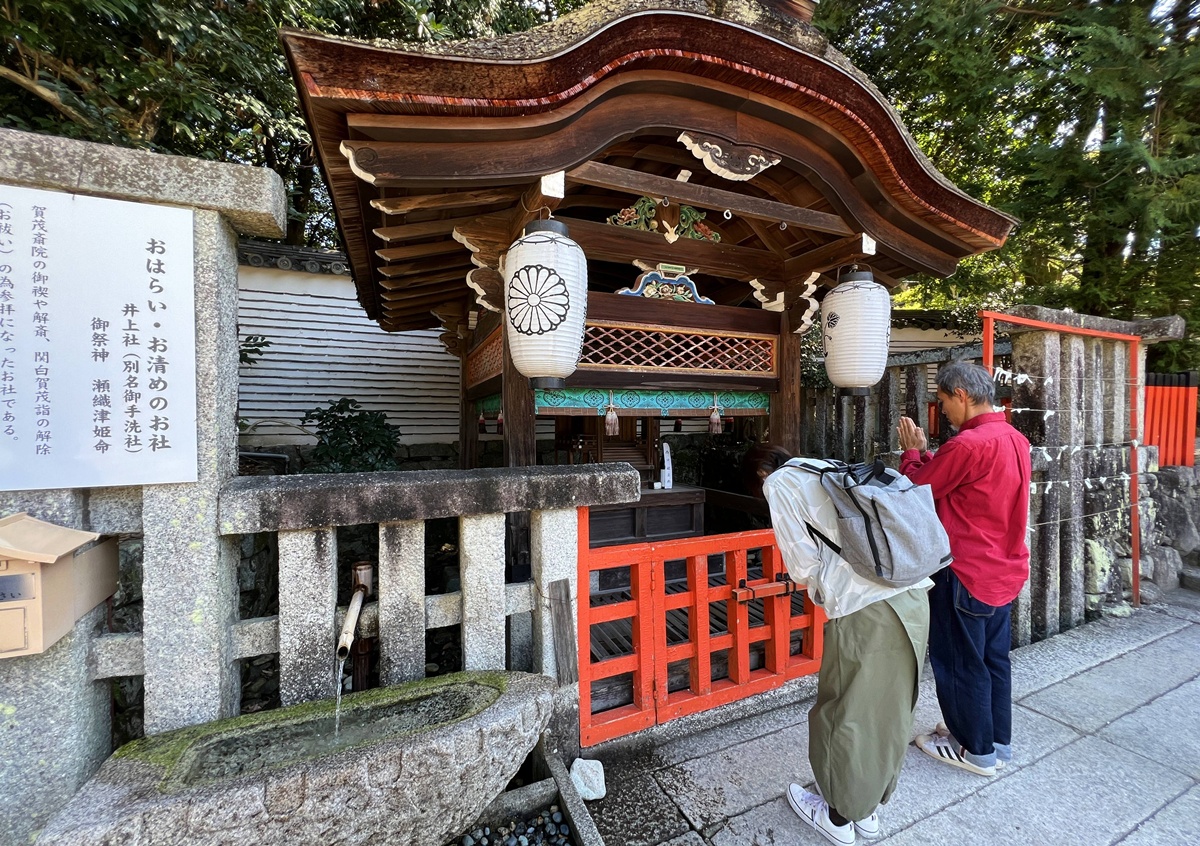 京都糺之森的綠，的確與其他森林不太一樣｜京都神社推薦 賀茂御祖神社（下鴨神社）參拜指南與糺之森療癒散策 @。CJ夫人。