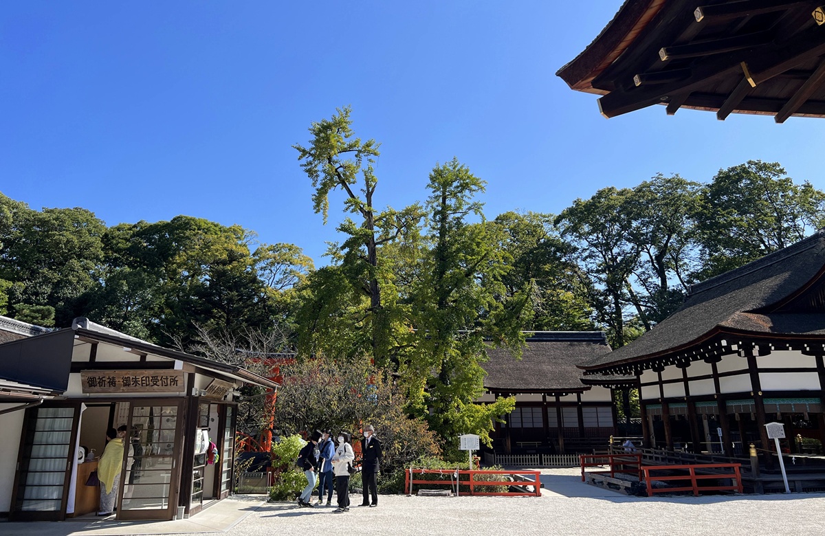 京都糺之森的綠，的確與其他森林不太一樣｜京都神社推薦 賀茂御祖神社（下鴨神社）參拜指南與糺之森療癒散策 @。CJ夫人。