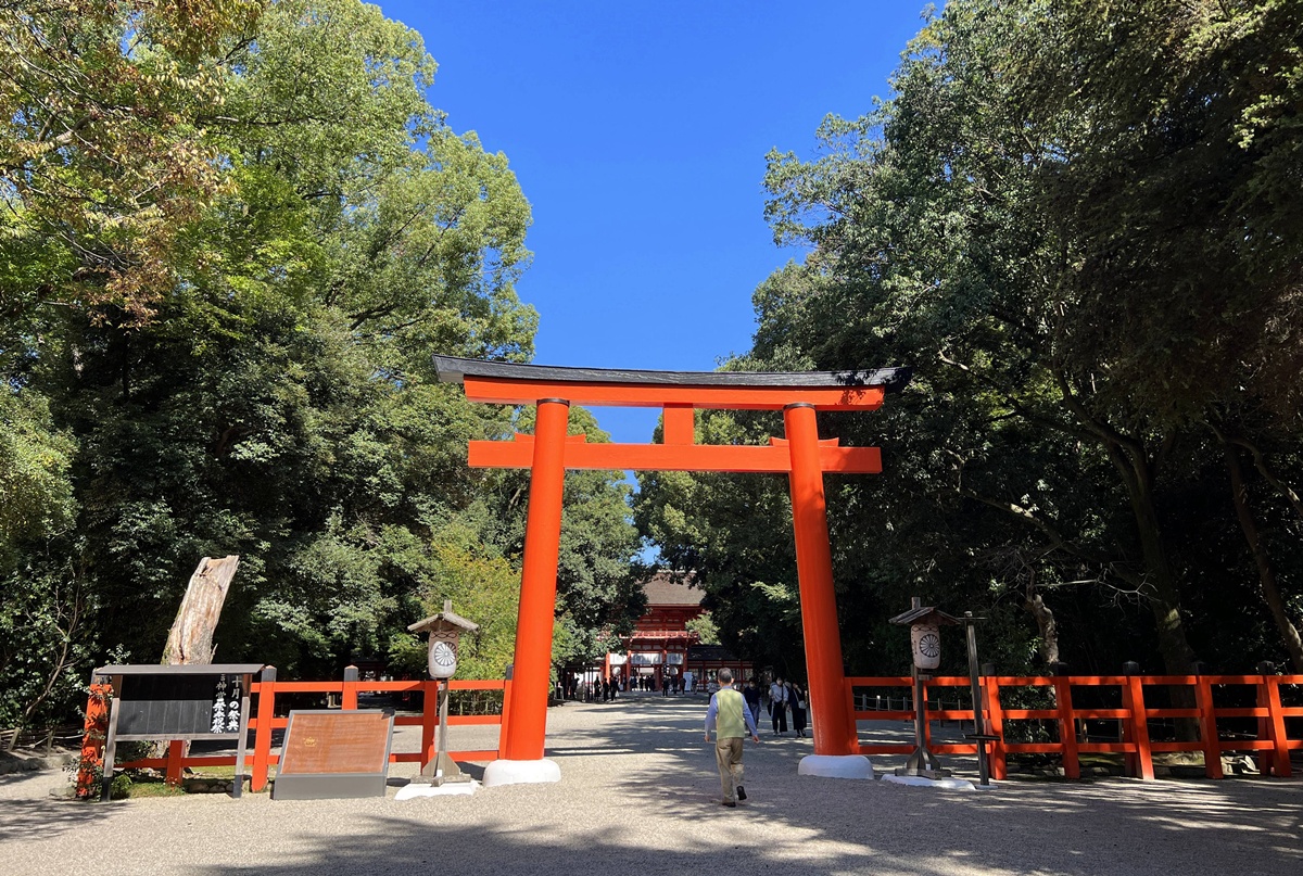 京都糺之森的綠，的確與其他森林不太一樣｜京都神社推薦 賀茂御祖神社（下鴨神社）參拜指南與糺之森療癒散策 @。CJ夫人。