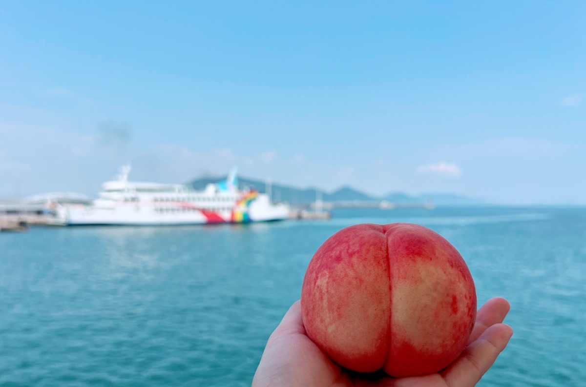 一顆白桃，如何讓岡山變成夏天限定的日本旅行目的地！又見白桃女王佔領岡山時，恭迎白桃果昔、白桃刨冰、白桃芭菲及白桃甜點到來吧！ @。CJ夫人。