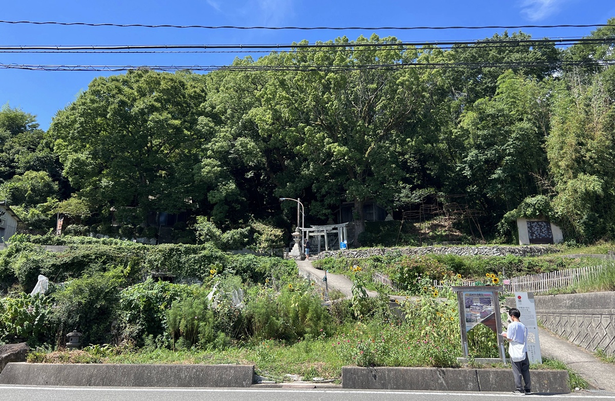 不急拍照、不急分享，也不急離開！屬於漂泊者的冥想島嶼－瀨戶內海豐島自由行與8個讓人坐一下午的藝術坐席 @。CJ夫人。