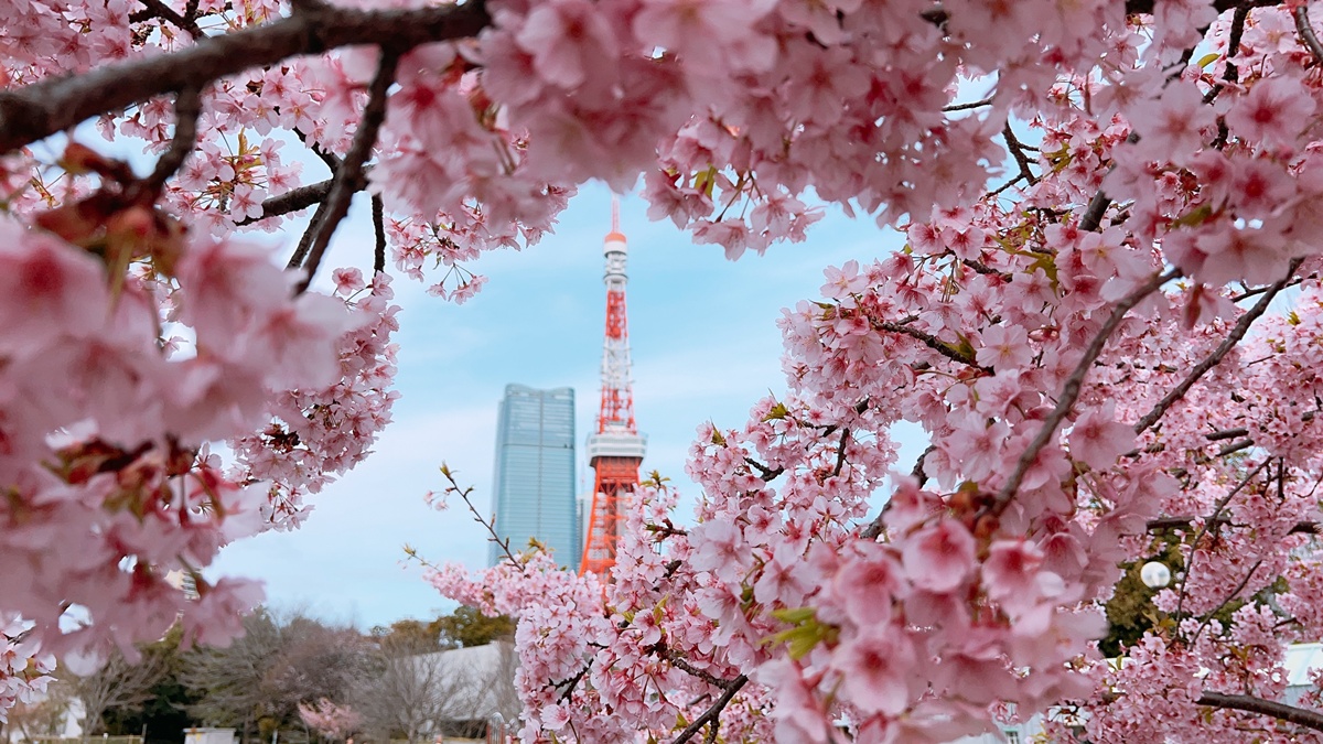 看見東京鐵塔、登上東京鐵塔、理解東京鐵塔、愛上東京鐵塔||無論自由行或跟團都一定要來的東京地標-東京鐵塔與8個拍照取景秘境 @。CJ夫人。 看見東京鐵塔、登上東京鐵塔、理解東京鐵塔、愛上東京鐵塔||無論自由行或跟團都一定要來的東京地標-東京鐵塔與8個拍照取景秘境 @。CJ夫人。