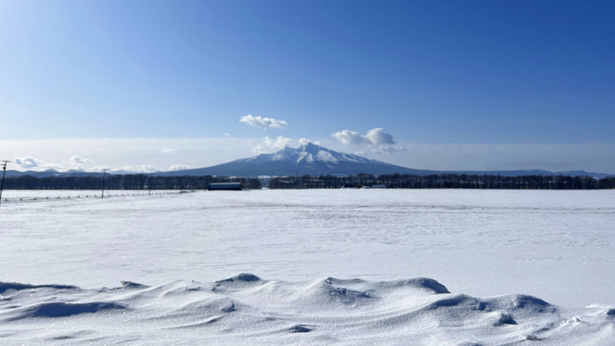 日本北海道自由行不只有雪景！冬天去過北海道的人， 通常都會帶回來的 12 句話與自由行心得分享 @。CJ夫人。