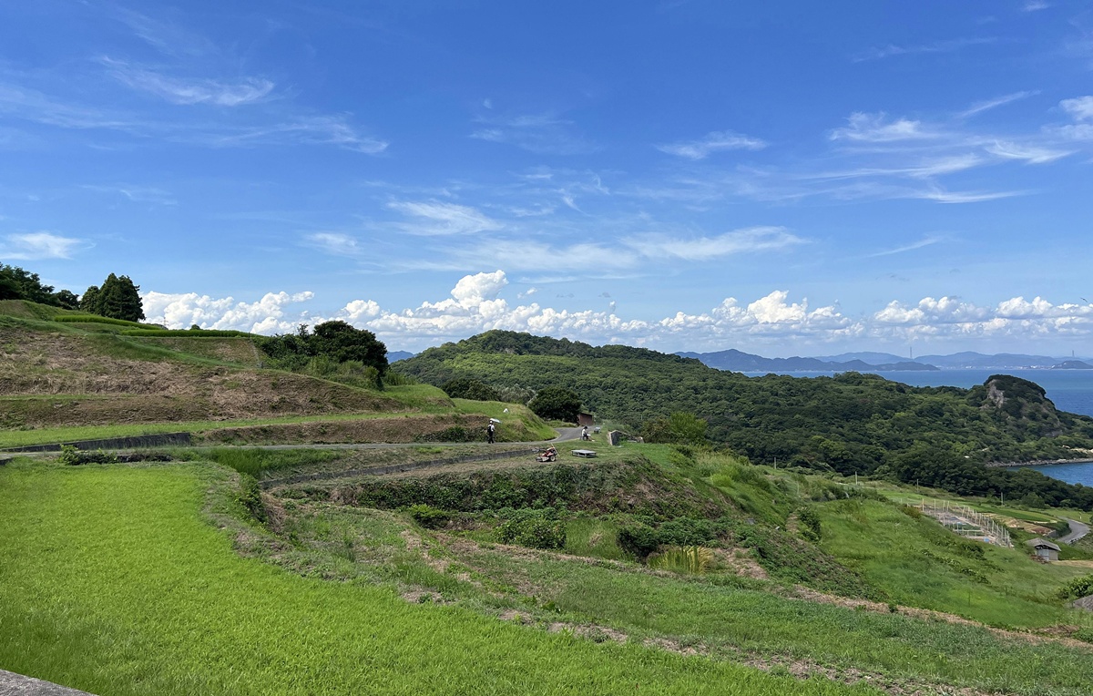 不急拍照、不急分享，也不急離開！屬於漂泊者的冥想島嶼－瀨戶內海豐島自由行與8個讓人坐一下午的藝術坐席 @。CJ夫人。
