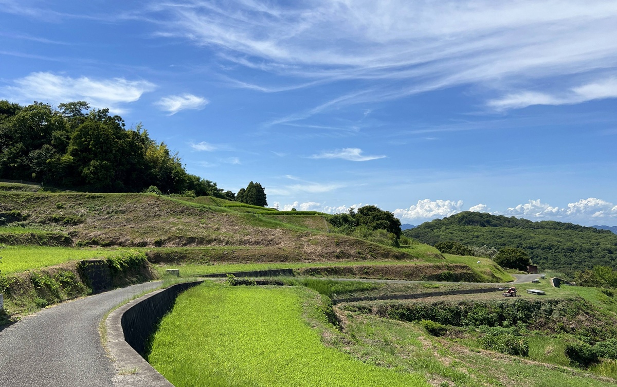 不急拍照、不急分享，也不急離開！屬於漂泊者的冥想島嶼－瀨戶內海豐島自由行與8個讓人坐一下午的藝術坐席 @。CJ夫人。