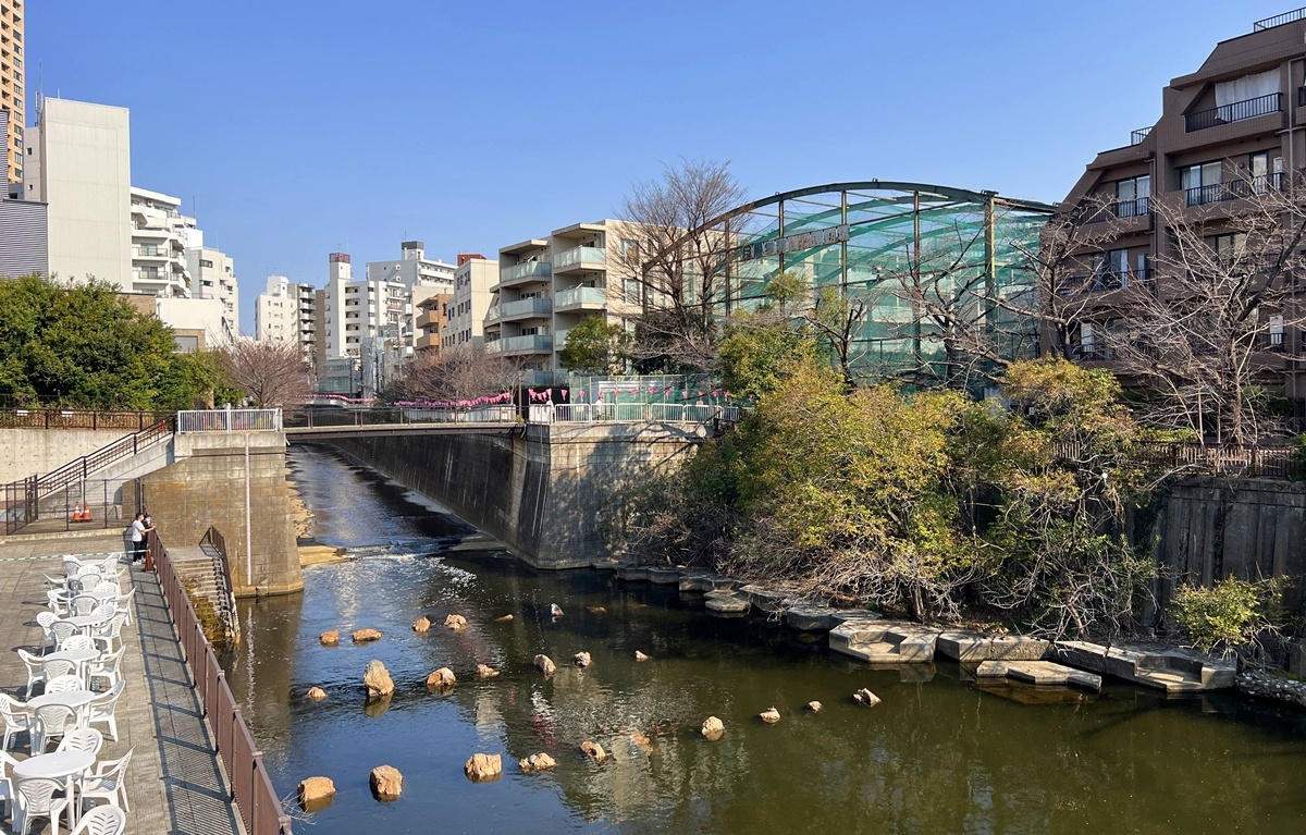 第一次東京自由行,其實只要搞懂山手線11個車站,就等於搞懂東京!日本東京山手線完整攻略:從JR車站周邊住宿、百貨購物到城市散策,出發之前一篇複習東京自由行 @。CJ夫人。 第一次東京自由行,其實只要搞懂山手線11個車站,就等於搞懂東京!日本東京山手線完整攻略:從JR車站周邊住宿、百貨購物到城市散策,出發之前一篇複習東京自由行 @。CJ夫人。