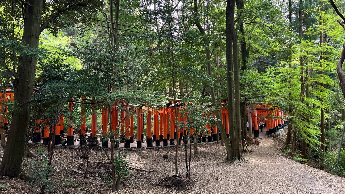 從狐狸神使到千本鳥居，走進一座由願望堆疊而成的山｜京都自由行一定要來的伏見稻荷大社與8個最值得停留的風景 @。CJ夫人。