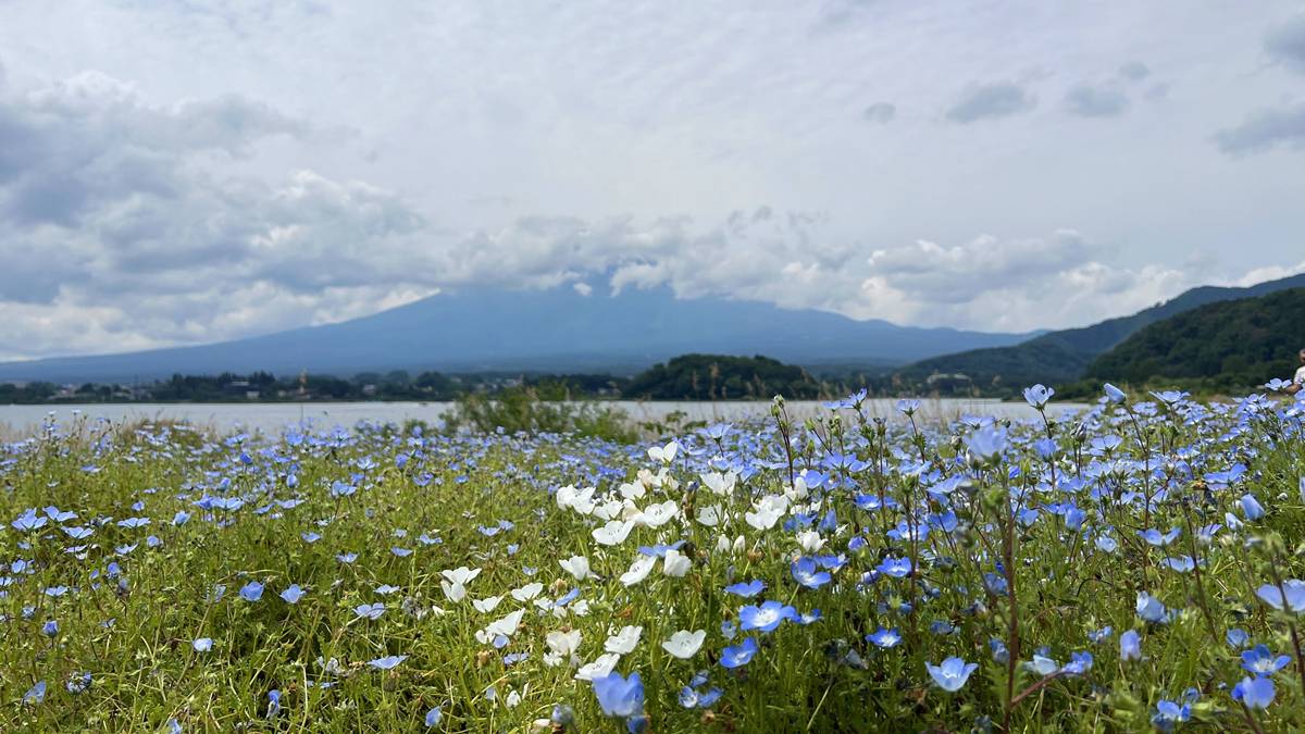 日本有一座山，值得相信一千年！富士山為什麼是世界文化遺產？從火山信仰、登山朝聖、淺間神社、富士五湖到北齋浮世繪，讀懂一座山如何成為千年文化 @。CJ夫人。