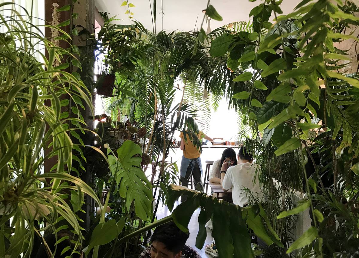 台南這麼多美食，我卻記住一間認真「說菜」的早午餐！台南平價手作早午餐推薦：小北家灶咖ZAOKA的台灣時令餐桌 @。CJ夫人。