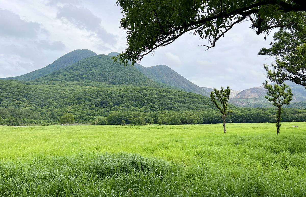終於抵達沒有圍牆的高原木屋聚落! 屬於阿蘇九重國立公園的草原、溫泉與久住高原一泊二食度假|九州大分久住Resonate度假酒店 @。CJ夫人。 終於抵達沒有圍牆的高原木屋聚落! 屬於阿蘇九重國立公園的草原、溫泉與久住高原一泊二食度假|九州大分久住Resonate度假酒店 @。CJ夫人。