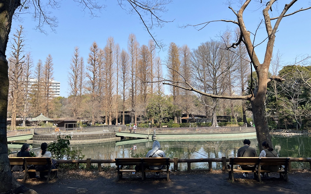 東京春天賞櫻不一定要搶位！穿過井之頭池的天鵝船，和吉祥寺人一起走進井之頭恩賜公園西園的野餐午後 @。CJ夫人。