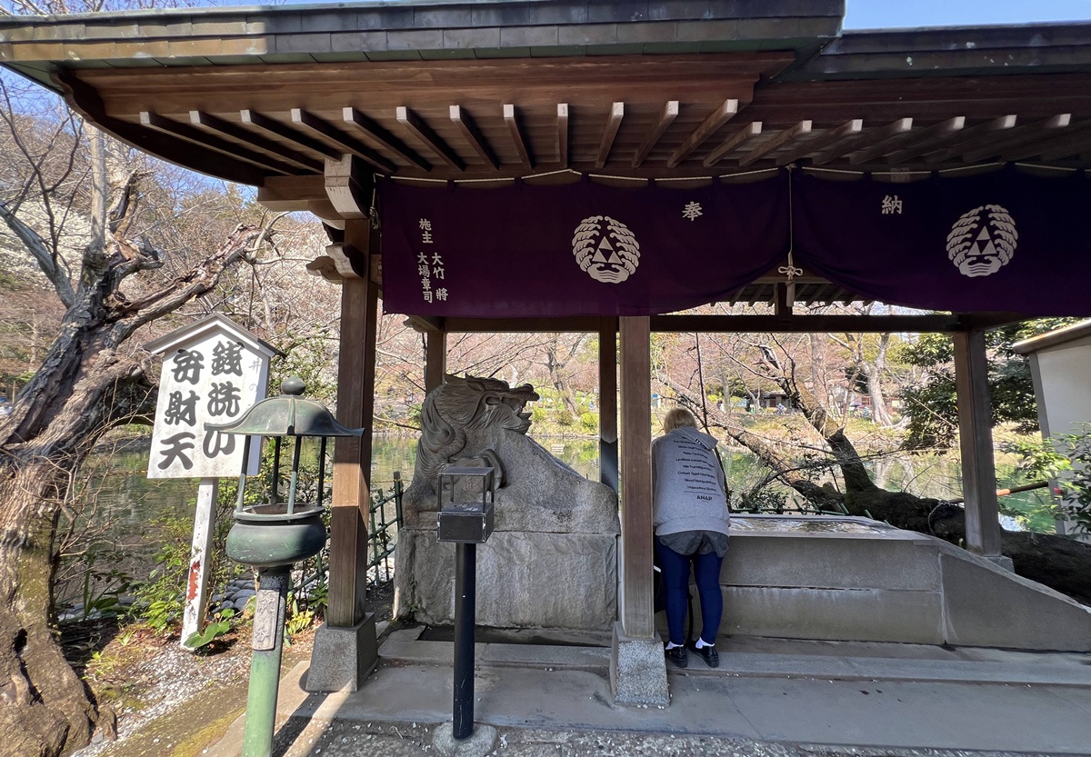 東京春天賞櫻不一定要搶位！穿過井之頭池的天鵝船，和吉祥寺人一起走進井之頭恩賜公園西園的野餐午後 @。CJ夫人。