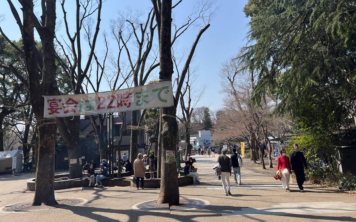 東京春天賞櫻不一定要搶位！穿過井之頭池的天鵝船，和吉祥寺人一起走進井之頭恩賜公園西園的野餐午後 @。CJ夫人。