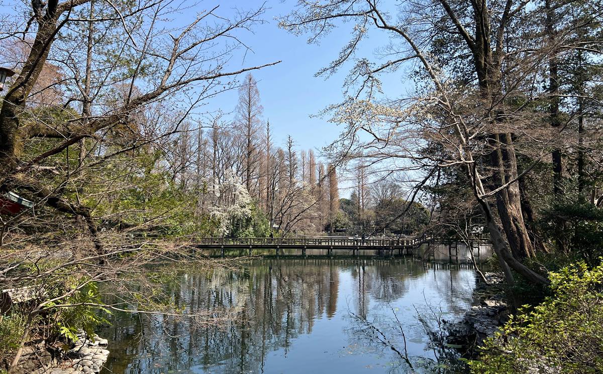 東京春天賞櫻不一定要搶位！穿過井之頭池的天鵝船，和吉祥寺人一起走進井之頭恩賜公園西園的野餐午後 @。CJ夫人。