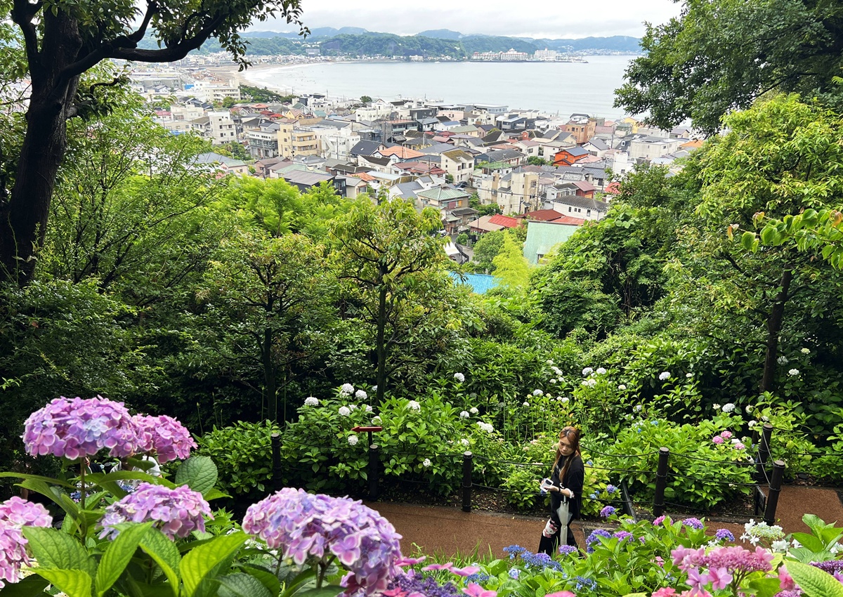 不必等到放晴！東京近郊鎌倉長谷寺2500株紫陽花盛開梅雨季，沿著六月花徑遇見湘南海岸｜良緣地藏與千年觀音信仰 @CJ夫人