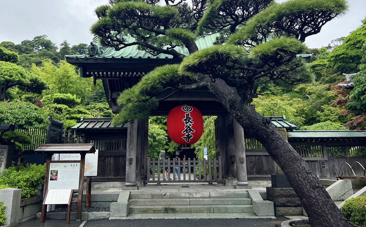 不必等到放晴！東京近郊鎌倉長谷寺2500株紫陽花盛開梅雨季，沿著六月花徑遇見湘南海岸｜良緣地藏與千年觀音信仰 @CJ夫人