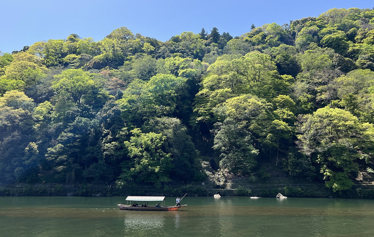 大阪鐵道自助旅行一定要知道的8座經典城市&徒步漫遊亮點：大阪、京都、奈良、神戶、姬路、和歌山、嵐山、宇治 @。CJ夫人。
