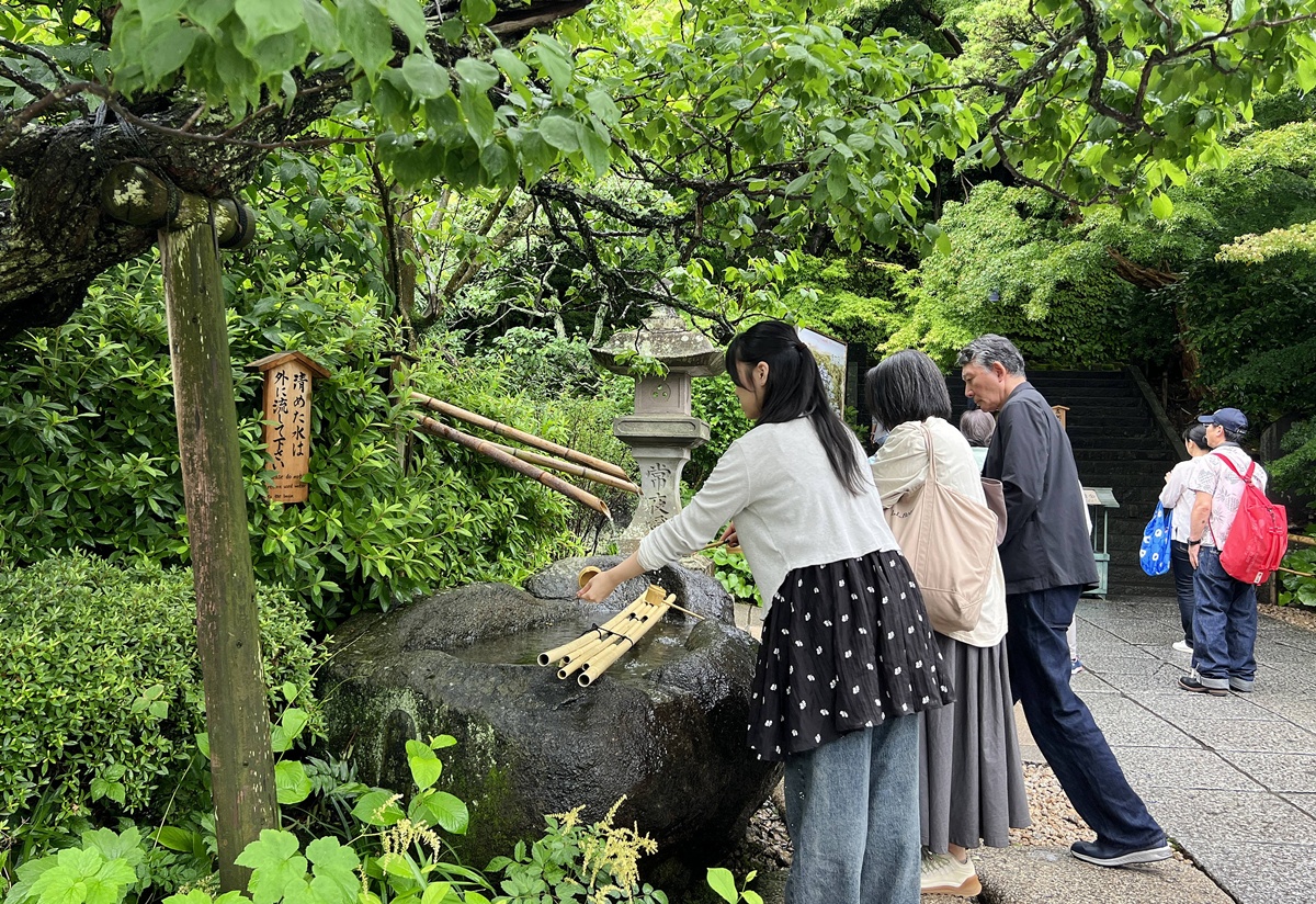 不必等到放晴！東京近郊鎌倉長谷寺2500株紫陽花盛開梅雨季，沿著六月花徑遇見湘南海岸｜良緣地藏與千年觀音信仰 @CJ夫人