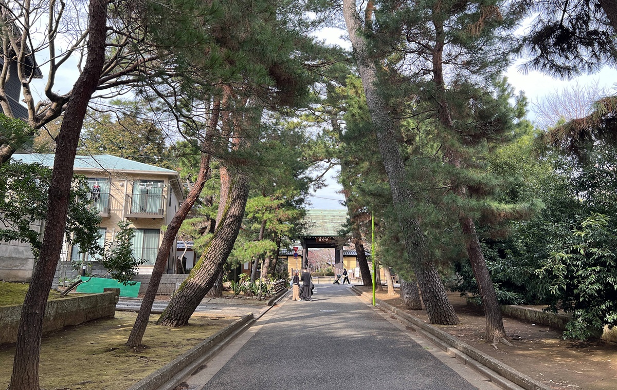 如果幸福有形狀,大概就是一群靜靜舉著右手的白貓|日本東京豪德寺招福貓散策,原來祂是招福貓而非招財貓! @CJ夫人 如果幸福有形狀,大概就是一群靜靜舉著右手的白貓|日本東京豪德寺招福貓散策,原來祂是招福貓而非招財貓! @CJ夫人