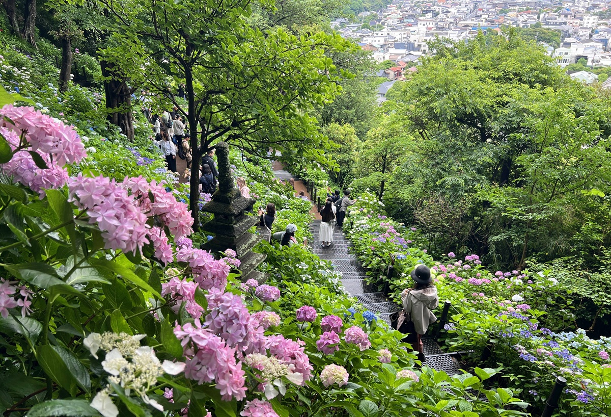 南漂旅行屏東13天｜我在台灣屏東遇見的9種熱情生活暨旅行提案。 @CJ夫人