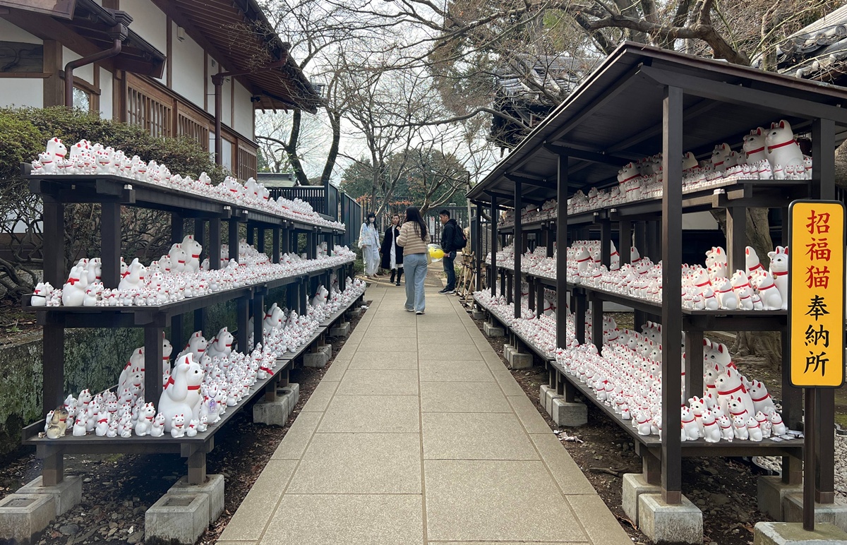 如果幸福有形狀,大概就是一群靜靜舉著右手的白貓|日本東京豪德寺招福貓散策,原來祂是招福貓而非招財貓! @CJ夫人 如果幸福有形狀,大概就是一群靜靜舉著右手的白貓|日本東京豪德寺招福貓散策,原來祂是招福貓而非招財貓! @CJ夫人