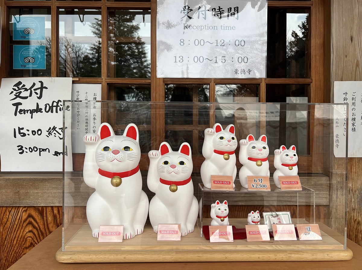 如果幸福有形狀，大概就是一群靜靜舉著右手的白貓｜日本東京豪德寺招福貓散策，原來祂是招福貓而非招財貓！ @CJ夫人