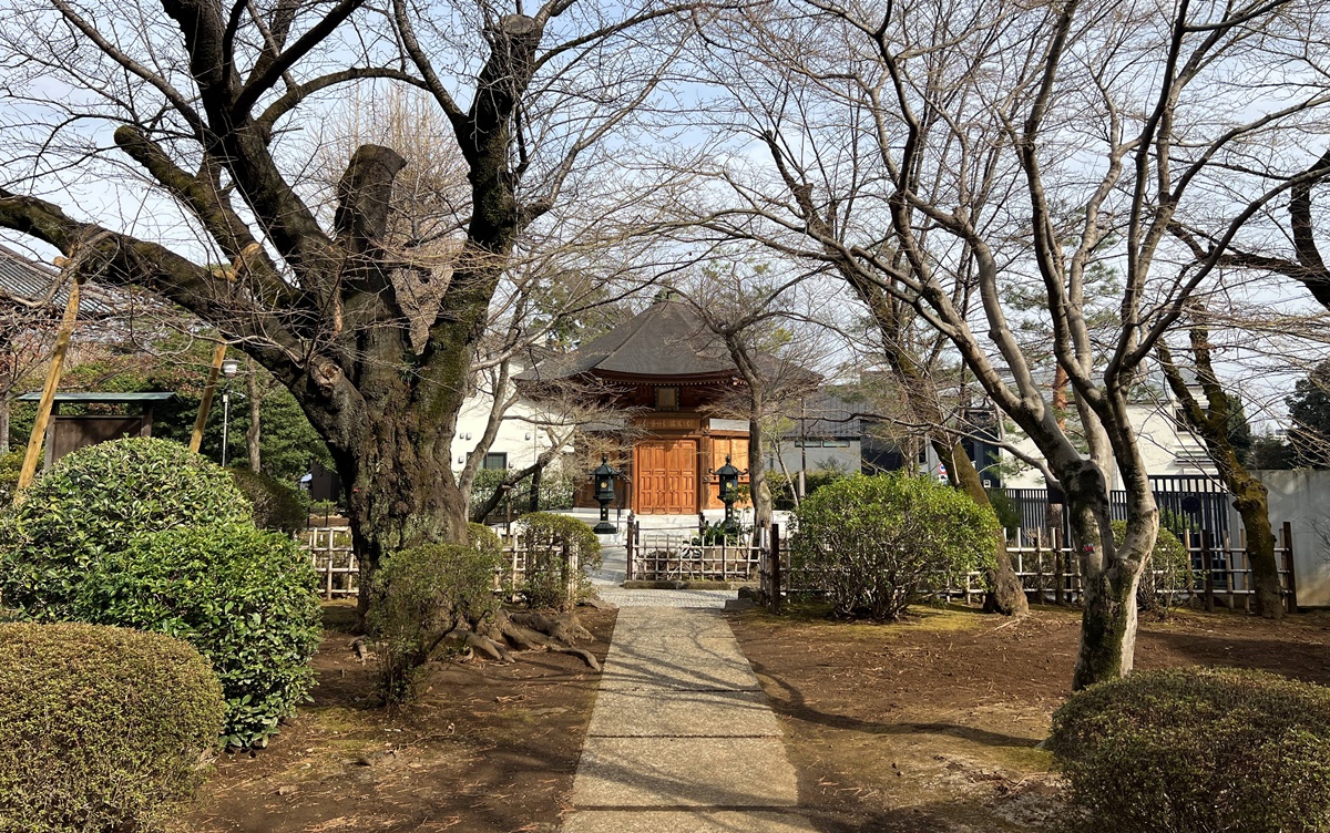 如果幸福有形狀,大概就是一群靜靜舉著右手的白貓|日本東京豪德寺招福貓散策,原來祂是招福貓而非招財貓! @CJ夫人 如果幸福有形狀,大概就是一群靜靜舉著右手的白貓|日本東京豪德寺招福貓散策,原來祂是招福貓而非招財貓! @CJ夫人