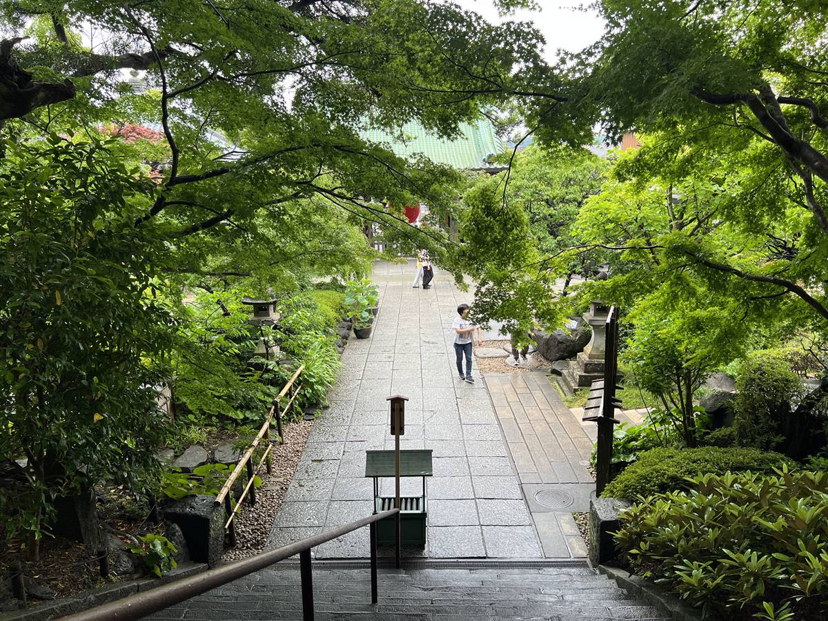 不必等到放晴！東京近郊鎌倉長谷寺2500株紫陽花盛開梅雨季，沿著六月花徑遇見湘南海岸｜良緣地藏與千年觀音信仰 @CJ夫人
