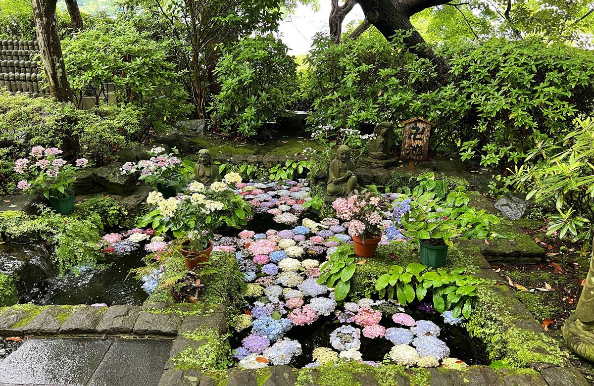 不必等到放晴！東京近郊鎌倉長谷寺2500株紫陽花盛開梅雨季，沿著六月花徑遇見湘南海岸｜良緣地藏與千年觀音信仰 @CJ夫人