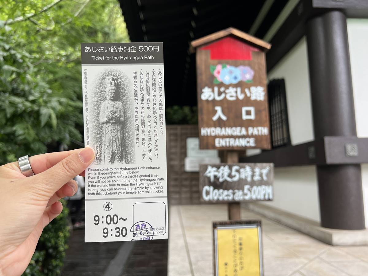 不必等到放晴！東京近郊鎌倉長谷寺2500株紫陽花盛開梅雨季，沿著六月花徑遇見湘南海岸｜良緣地藏與千年觀音信仰 @CJ夫人