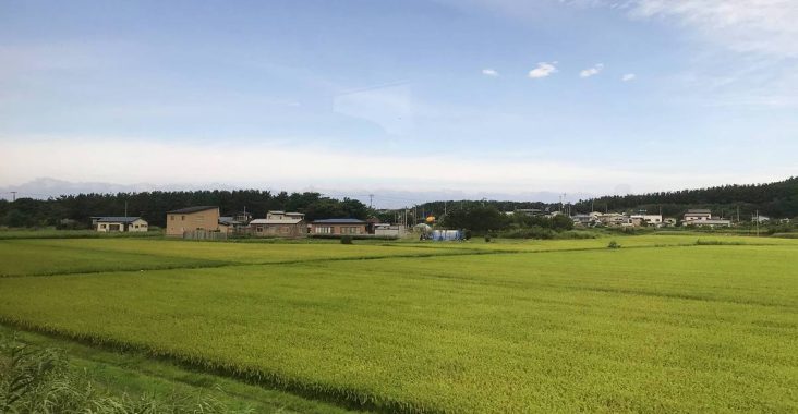 2026年10-11月號《日本東北旅行情報》｜出發前一週花 5 分鐘看完！掌握最值得去的新景點、限定活動、私房一日遊、住宿優惠一次整理 @。CJ夫人。
