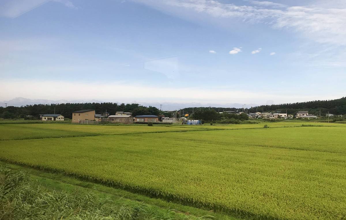 跟海跟港口茶一起迎接歡愉歌舞日常｜屏東滿州港口生態社區與採茶風味饗宴 @。CJ夫人。