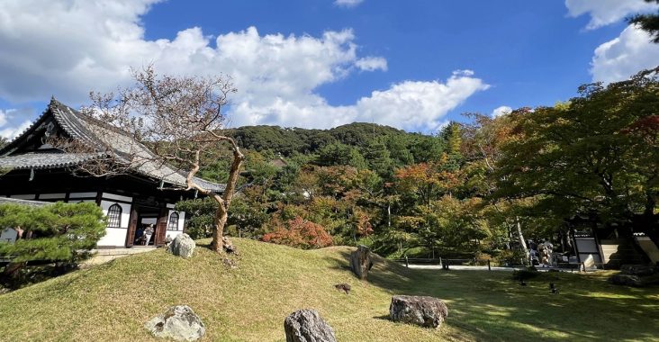 2026年11-12月號《 京都旅行情報》｜出發前一週花 5 分鐘看完！掌握最值得去的新景點、限定活動、私房一日遊、住宿優惠一次整理 @CJ夫人
