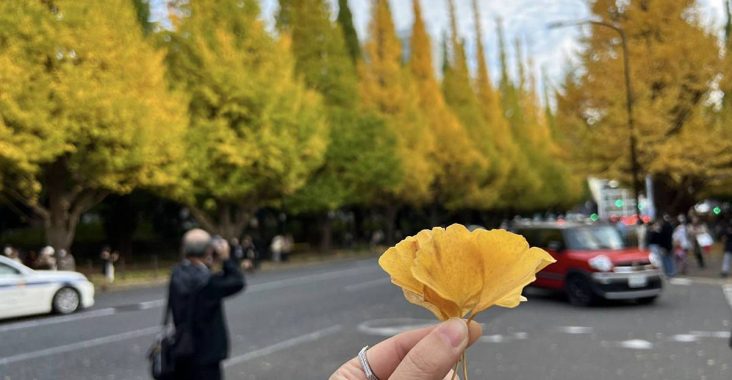 2026年10-11月號《 東京旅行情報》｜出發前一週花 5 分鐘看完！掌握最值得去的新景點、限定活動、私房一日遊、住宿優惠一次整理 @CJ夫人