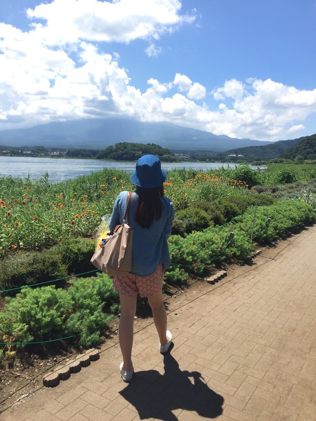 東京新宿前往富士山的河口湖冒險：河口湖周遊巴士、自然生活館、天上山公園纜車、もみじ亭烏龍冷麵 @。CJ夫人。