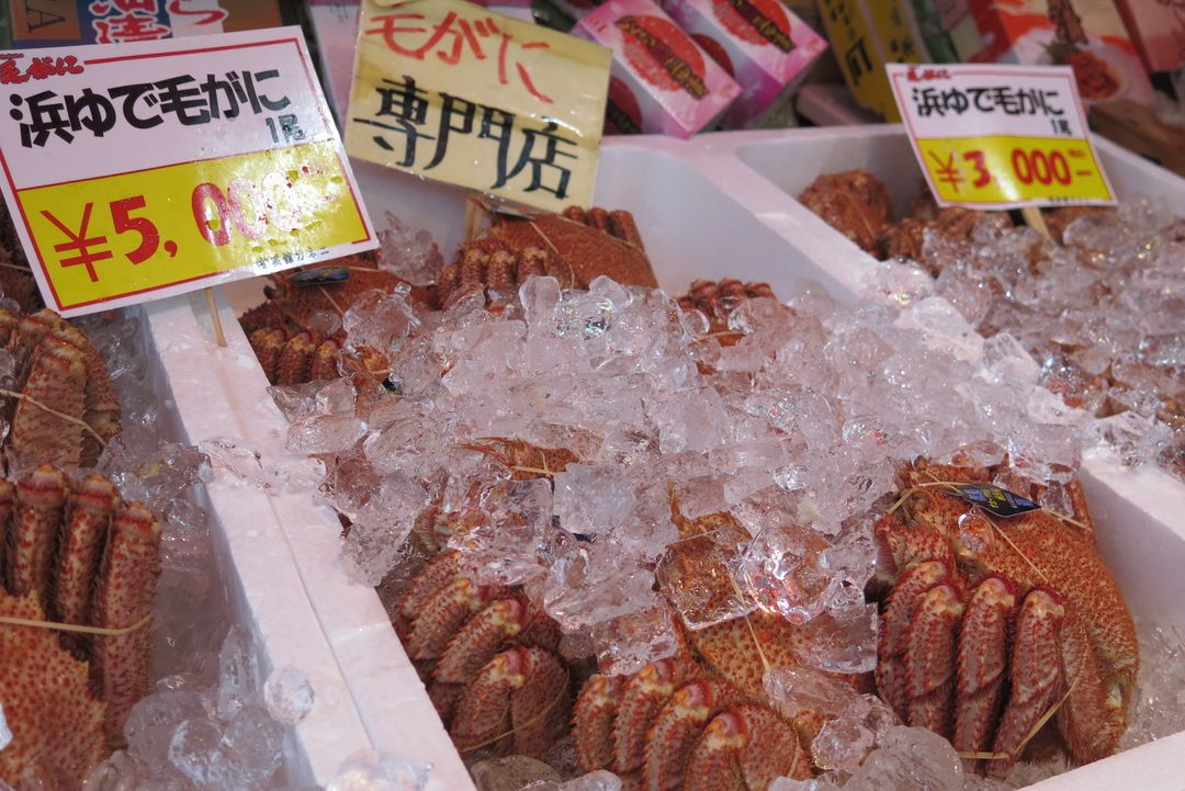 大阪燒肉戰區心齋橋 燒肉一的日本高級黑毛和牛點餐完全攻略 @。CJ夫人。
