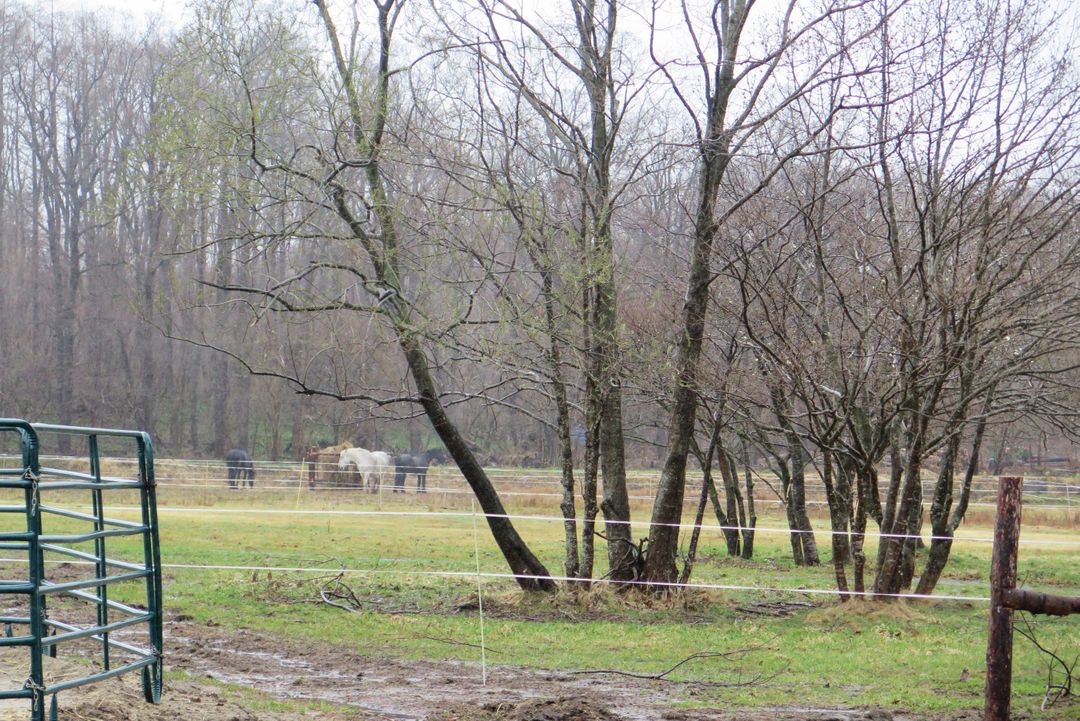騎馬才能看見的北海道道南風景 大沼流山牧場騎馬體驗 @。CJ夫人。