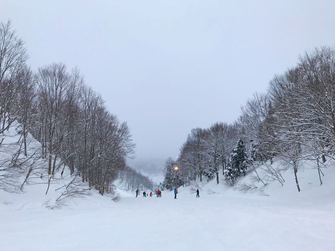 日本東京自助滑雪！新幹線75分鐘東京直達GALA湯澤滑雪場 一日來回滑雪、交通、泡湯攻略！ @。CJ夫人。