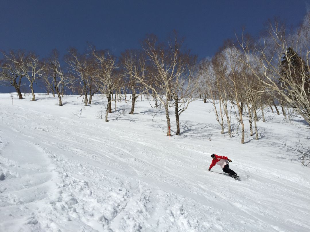 日本關東自助滑雪攻略 長野志賀高原燒額山滑雪場（Shiga Kogen）晴天比什麼都重要！ @。CJ夫人。