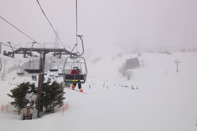 日本自助滑雪新手懶人包 女生踏上Snowboard滑雪旅行的心情紀錄 第一天學習穿雪鞋、上纜車、落葉飄 @。CJ夫人。